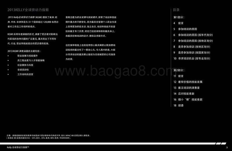 职业发展与技能提升.pdf_第3页