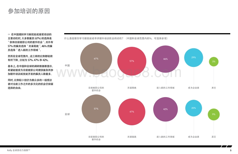 职业发展与技能提升.pdf_第5页