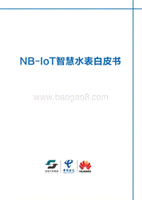 NB-IOT智慧水表白皮书.pdf