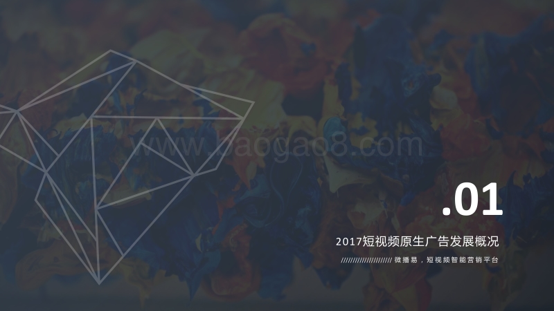 2017-2018短视频原生广告白皮书.pdf_第4页