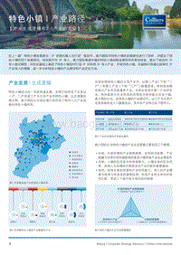 特色小镇产业生成逻辑和2.5产业的定位策略报告.pdf