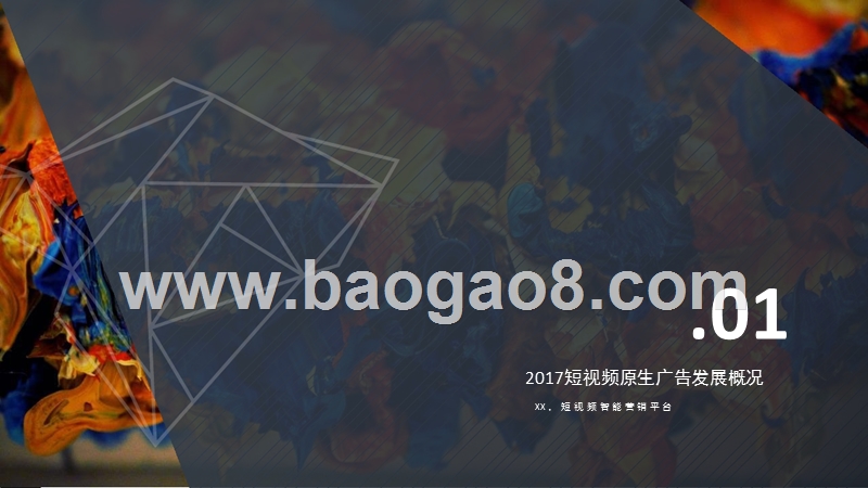 2017-2018年短视频原生广告研究报告.pptx_第4页