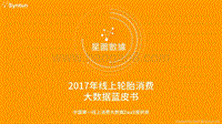 2017年线上轮胎消费大数据蓝皮书.pdf