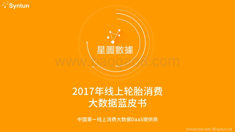 2017年线上轮胎消费大数据蓝皮书.pdf_第1页