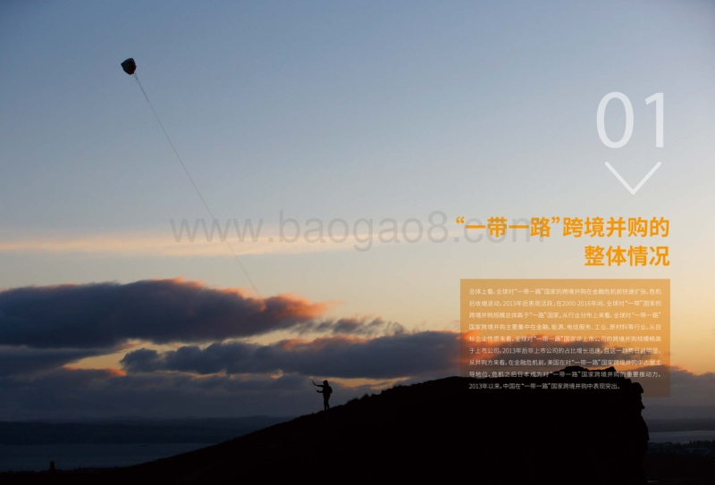 “一带一路”跨境并购研究报告.pdf_第5页