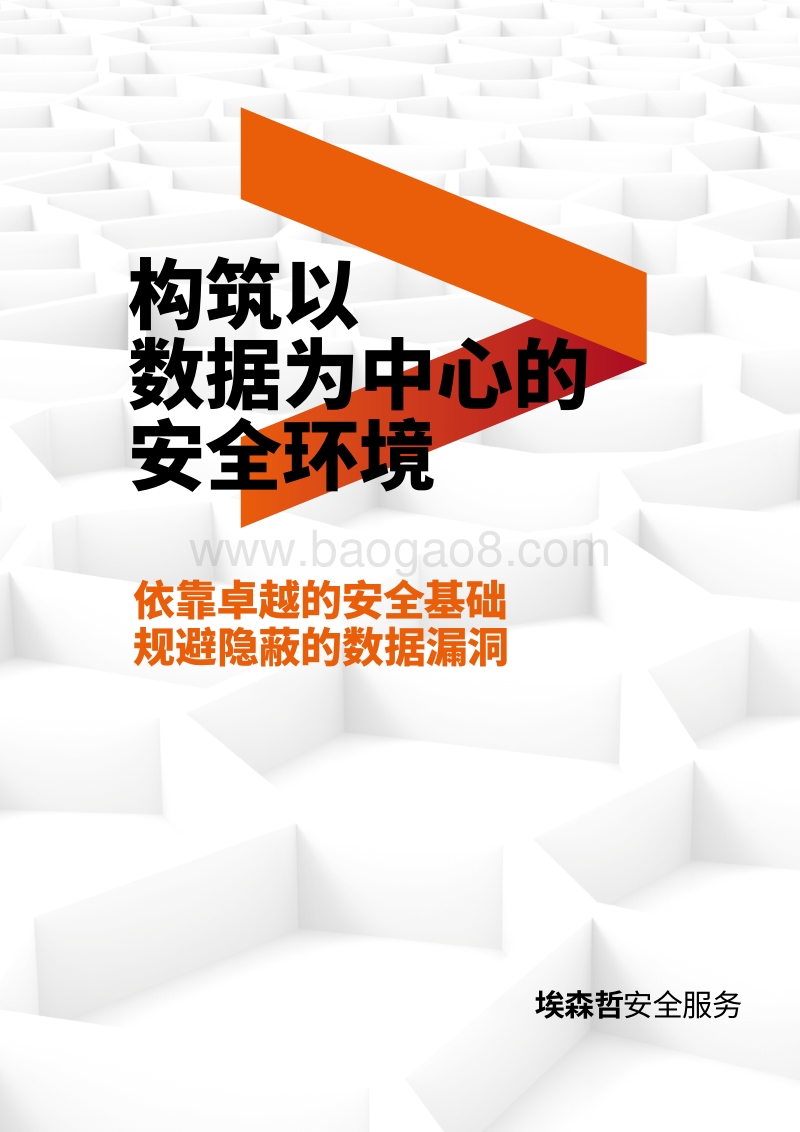 构筑以数据为中心的安全环境：依靠卓越的安全基础规避隐蔽的数据漏洞.pdf_第1页