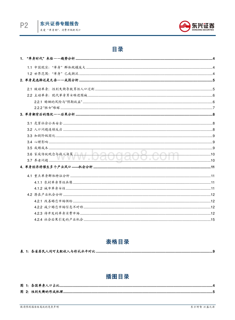 人口专题报告（二）：关爱“单身狗”，消费升级新风口.pdf_第2页
