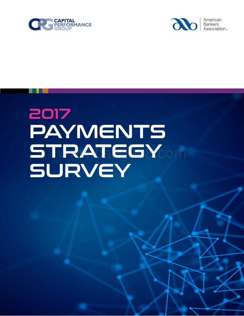 2017支付策略调查（英文版）.pdf_第1页