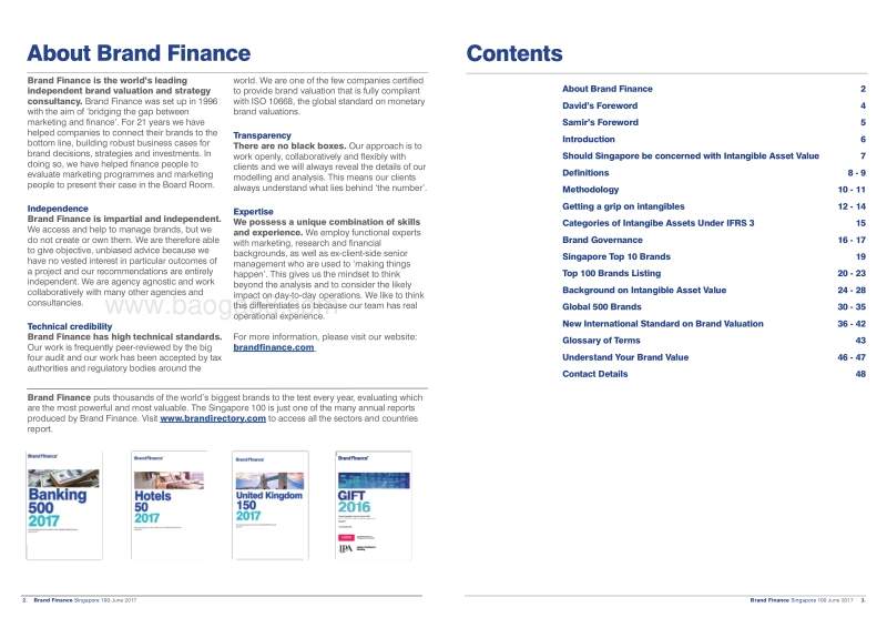 2017新加坡100强品牌报告（英文版）.pdf_第2页
