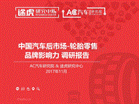 中国汽车后市场轮胎零售品牌影响力调研报告.pdf