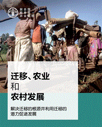 迁移、农业和农村发展分析报告.pdf