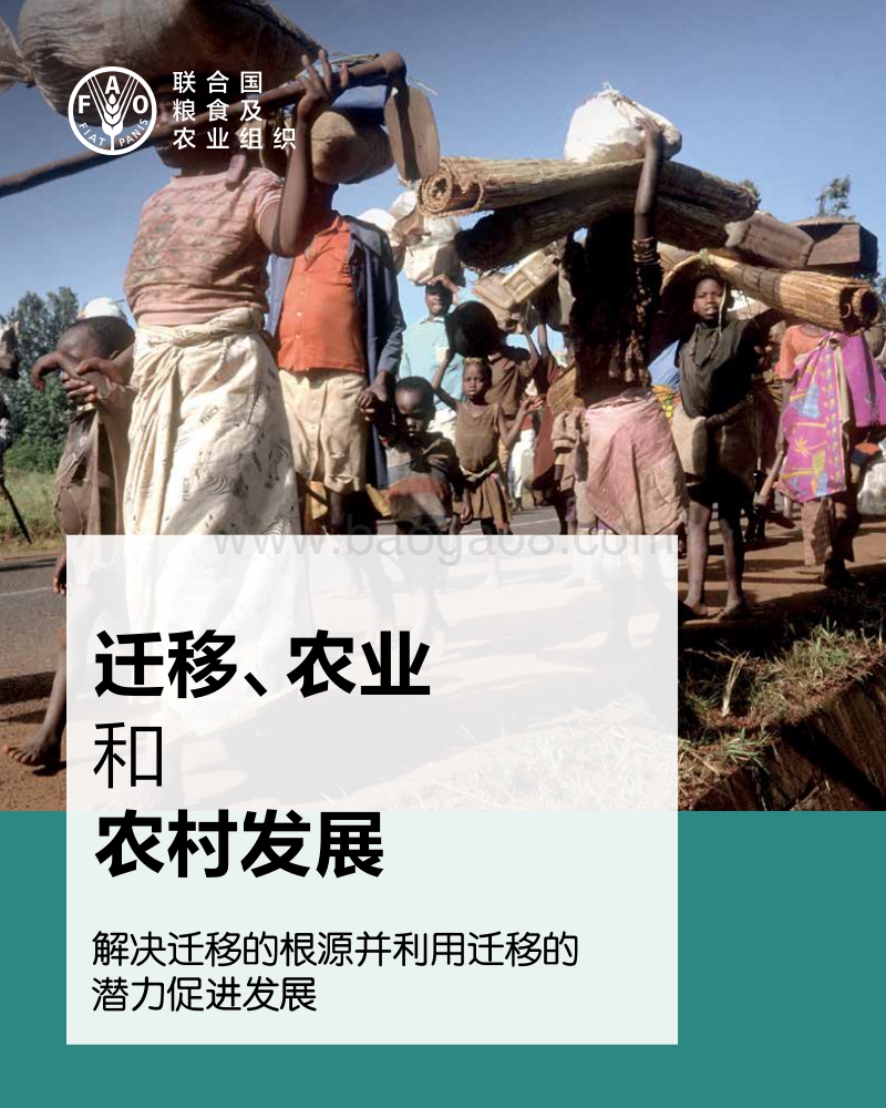 迁移、农业和农村发展分析报告.pdf_第1页
