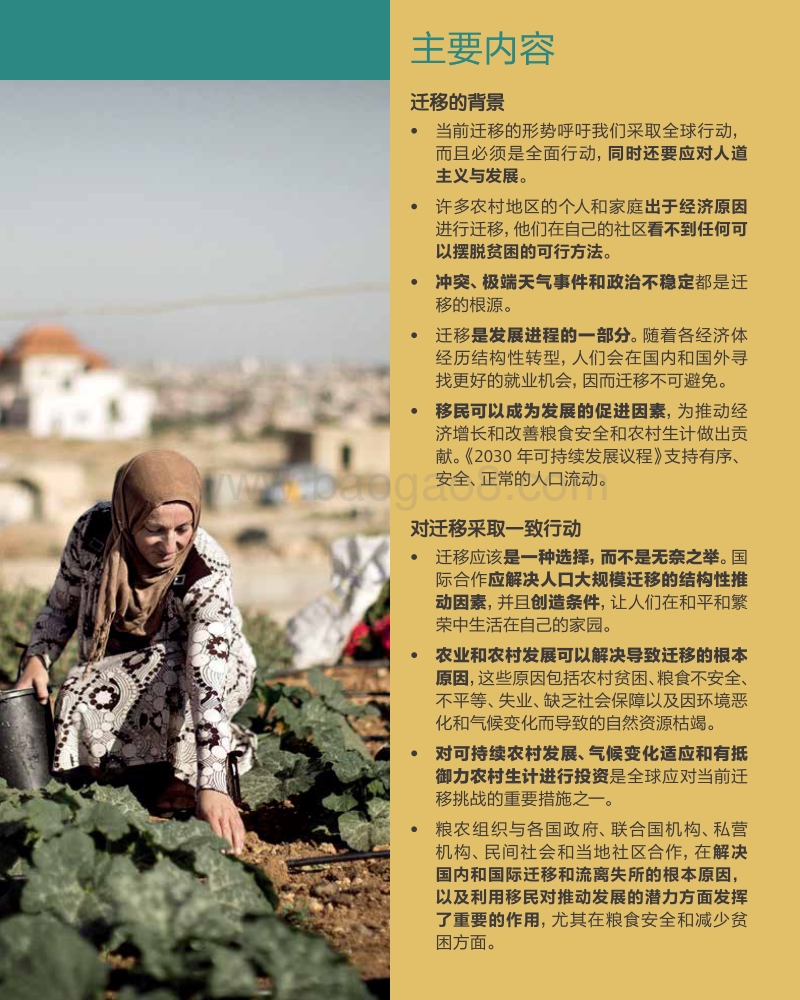 迁移、农业和农村发展分析报告.pdf_第3页