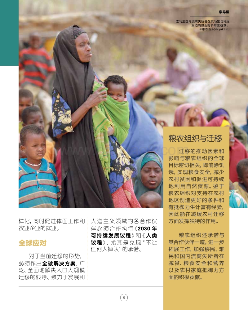 迁移、农业和农村发展分析报告.pdf_第5页