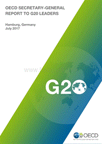 OECD秘书长给20国集团领导人的税收报告（英文版）.pdf