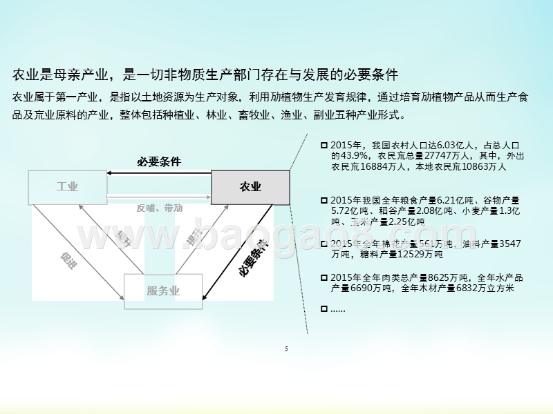 2017-2018中国农业行业投资现状及未来趋势分析报告.pptx_第4页
