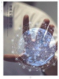 世界的担忧何在.pdf