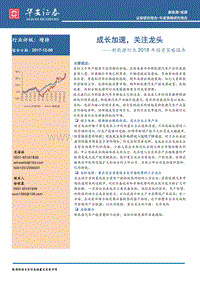 新能源行业2018年投资策略报告：成长加速，关注龙头.pdf