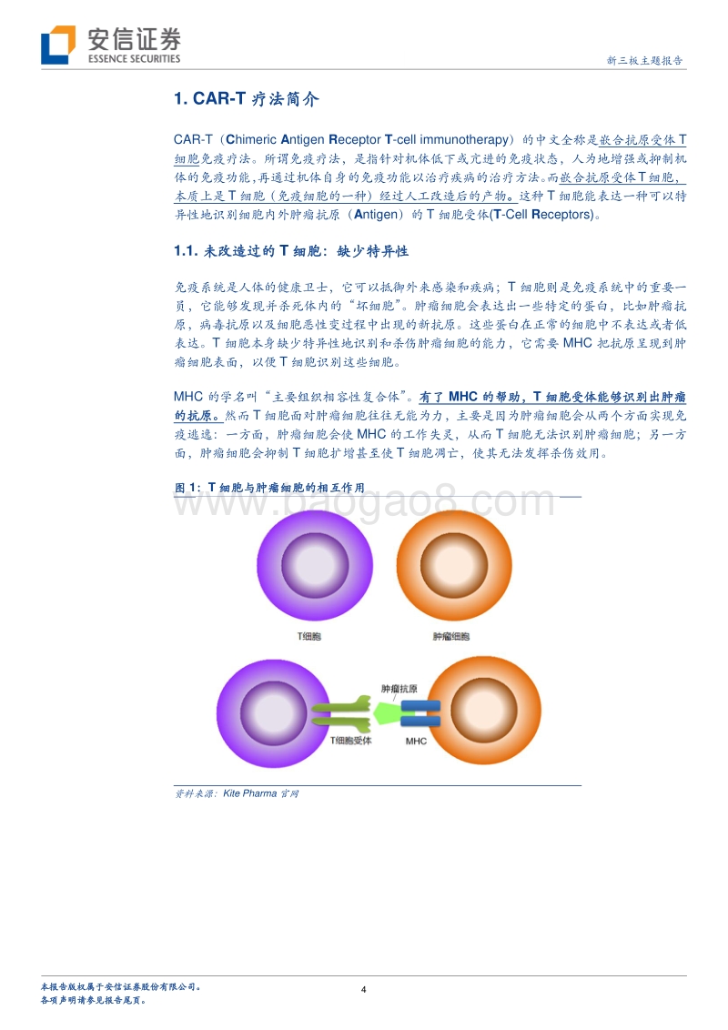 大成可待-肿瘤免疫治疗中的CAR-T疗法面临新突破？.pdf_第4页