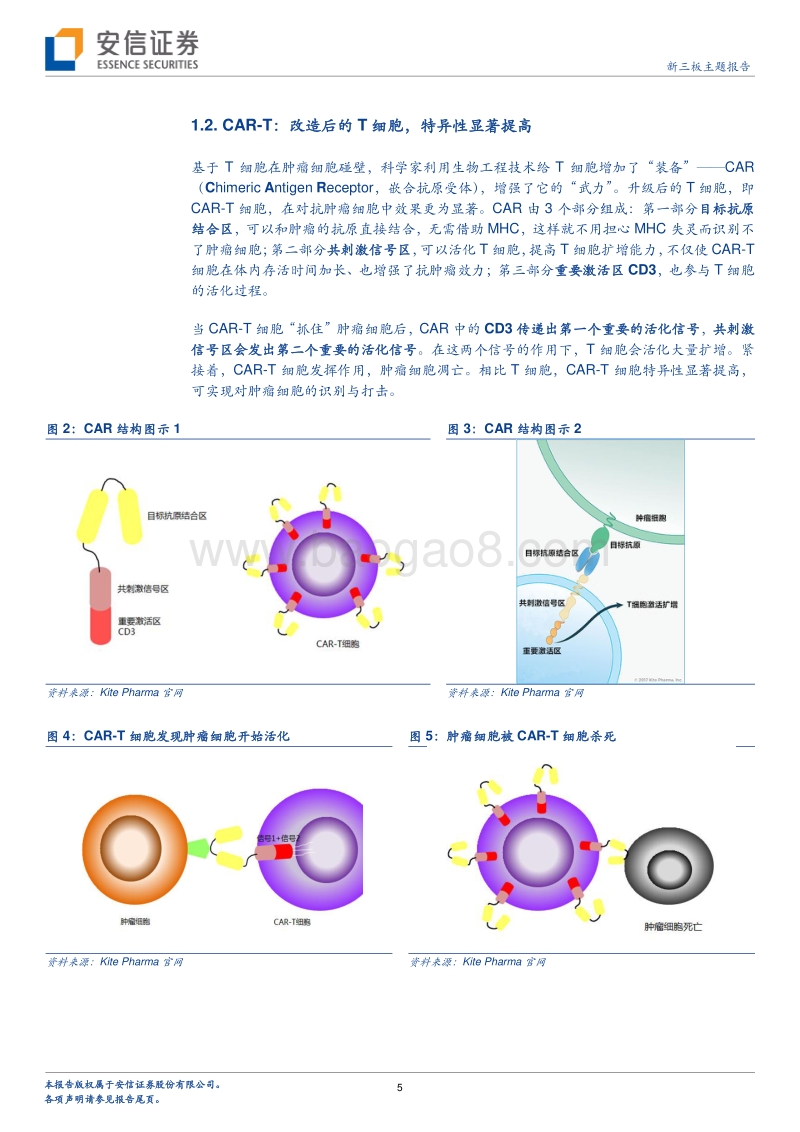 大成可待-肿瘤免疫治疗中的CAR-T疗法面临新突破？.pdf_第5页