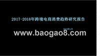 2017-2018年跨境电商消费趋势研究报告.pptx
