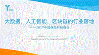2017 中国保险科技报告：大数据、人工智能、区块链的行业落地.pdf