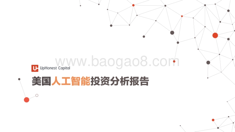 美国人工智能投资分析报告.pdf_第1页
