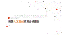 美国人工智能投资分析报告.pdf