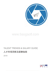 2018人才市场洞察及薪酬指南.pdf