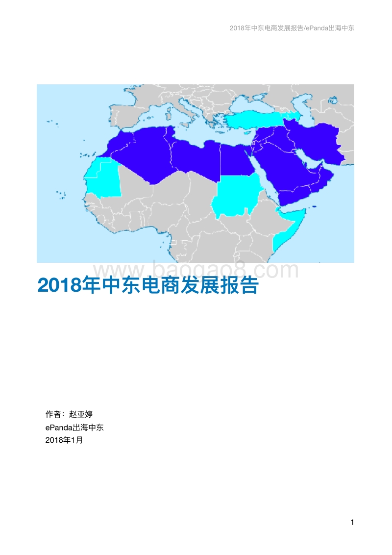 2018年中东电商发展报告.pdf_第1页