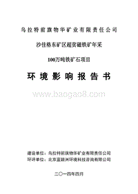 XX矿业公司磁铁矿项目环境影响评价报告书.pdf