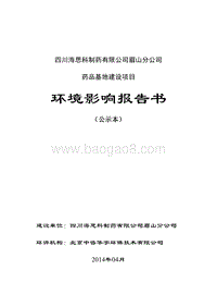 XX制药公司环境影响评价报告书.pdf