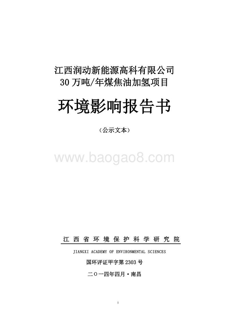 XX新能源高科有限公司环境影响评价报告书.pdf_第1页