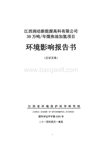 XX新能源高科有限公司环境影响评价报告书.pdf