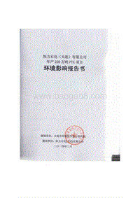 XX石化公司环境影响评价报告书.pdf