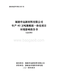 XX新材料有限公司环境影响评价报告书.pdf