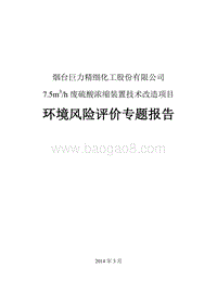 XX厂废硫酸浓缩装置技术环境影响评价报告书.pdf