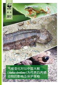 2018气候变化对以中国大鲵为代表的两栖动物的影响及保护策略报告.pdf
