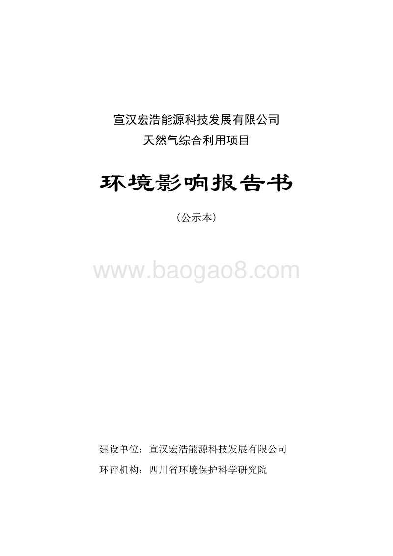 XX公司天然气综合利用项目环境影响评价报告书.pdf_第1页