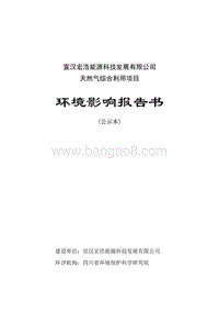 XX公司天然气综合利用项目环境影响评价报告书.pdf