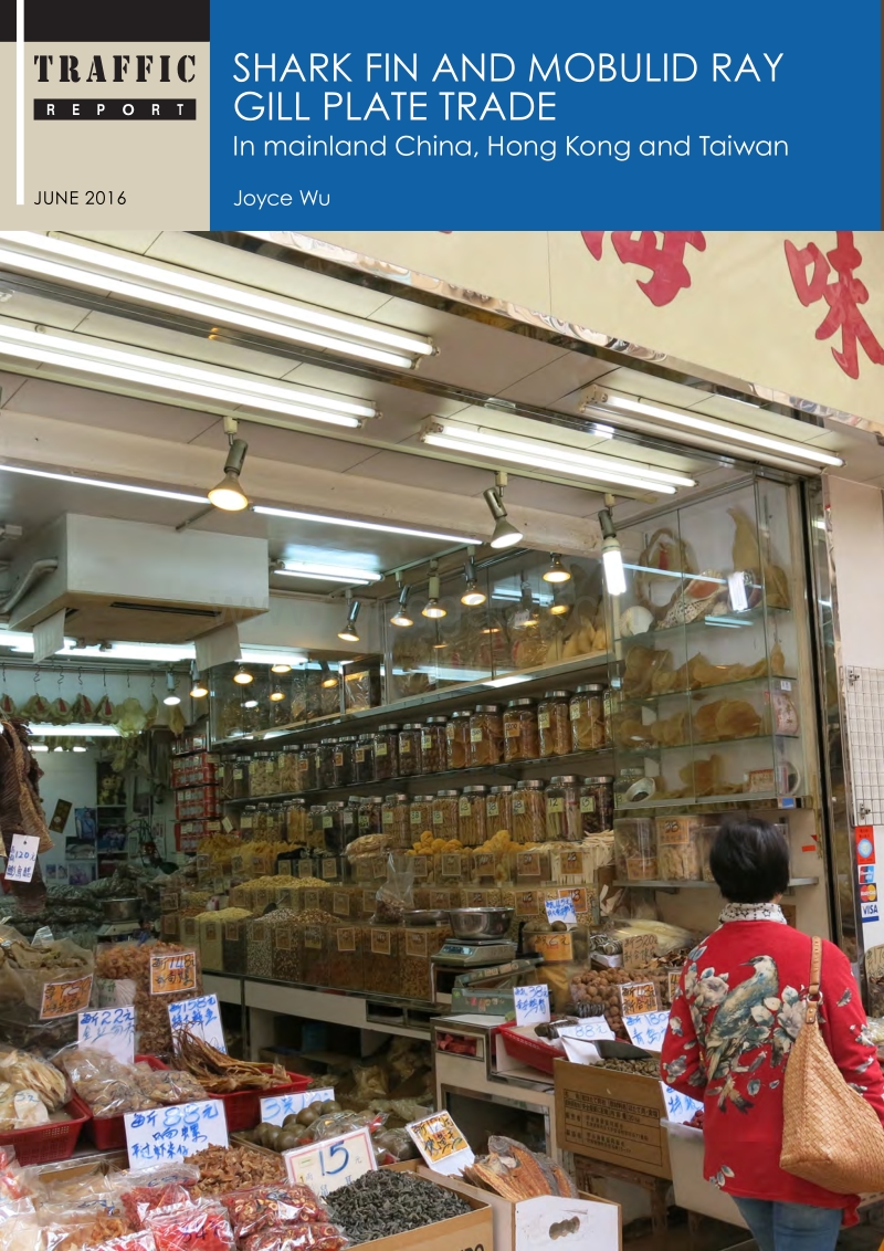 中国大陆、香港及台湾的鱼翅和蝠鲼鳃贸易研究（英文版）.pdf_第1页