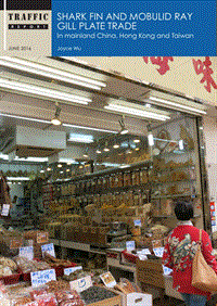 中国大陆、香港及台湾的鱼翅和蝠鲼鳃贸易研究（英文版）.pdf