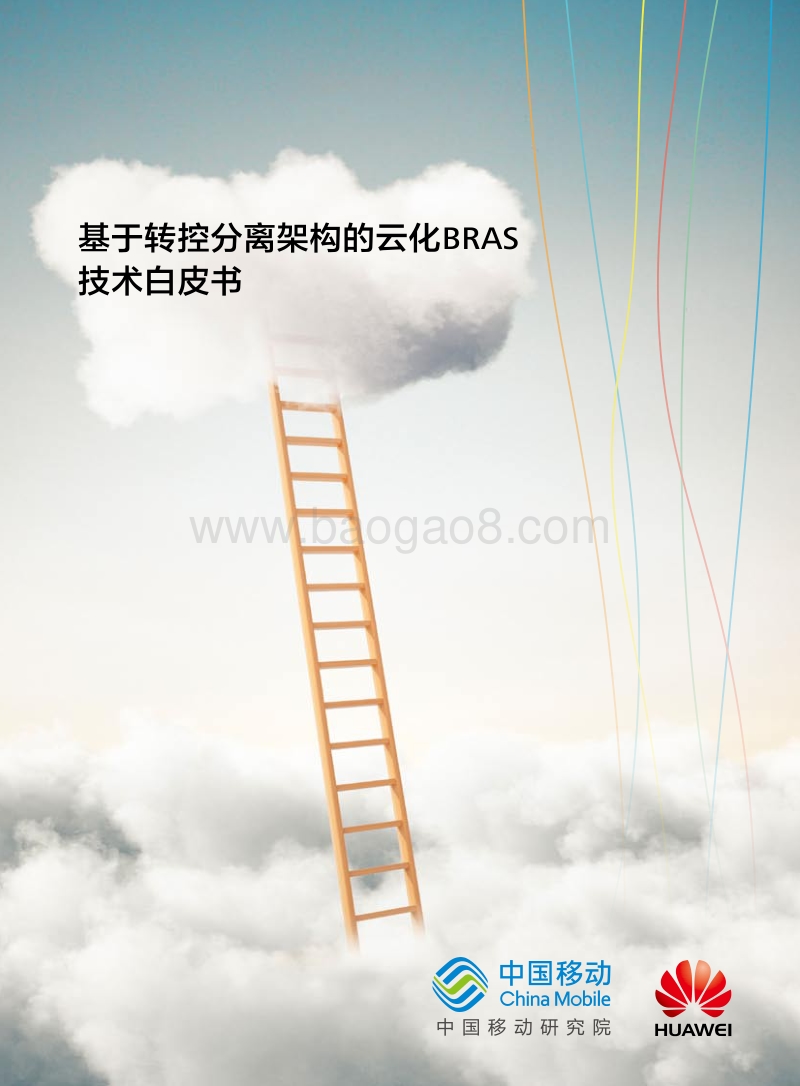 基于转控分离架构的云化BRAS技术白皮书.pdf_第1页