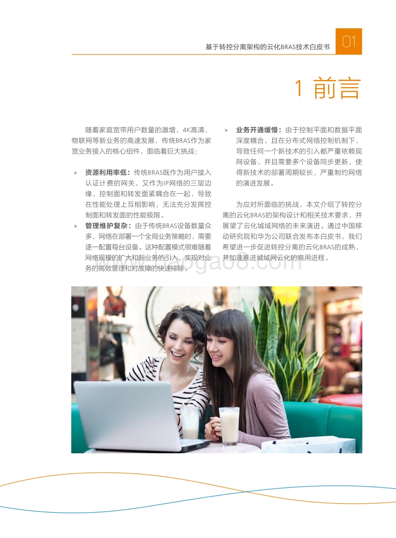 基于转控分离架构的云化BRAS技术白皮书.pdf_第3页