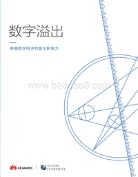 数字溢出：衡量数字经济的真正影响力.pdf
