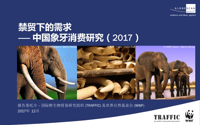 2017中国象牙消费研究：禁贸下的需求.pdf_第1页