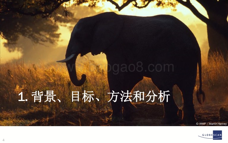 2017中国象牙消费研究：禁贸下的需求.pdf_第4页