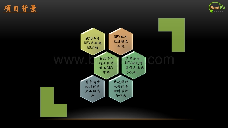 2018Best EV最优电动车众评体系研究成果.pdf_第2页