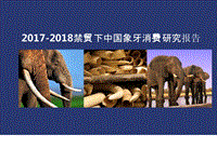 2017-2018禁贸下中国象牙消费研究报告.pptx
