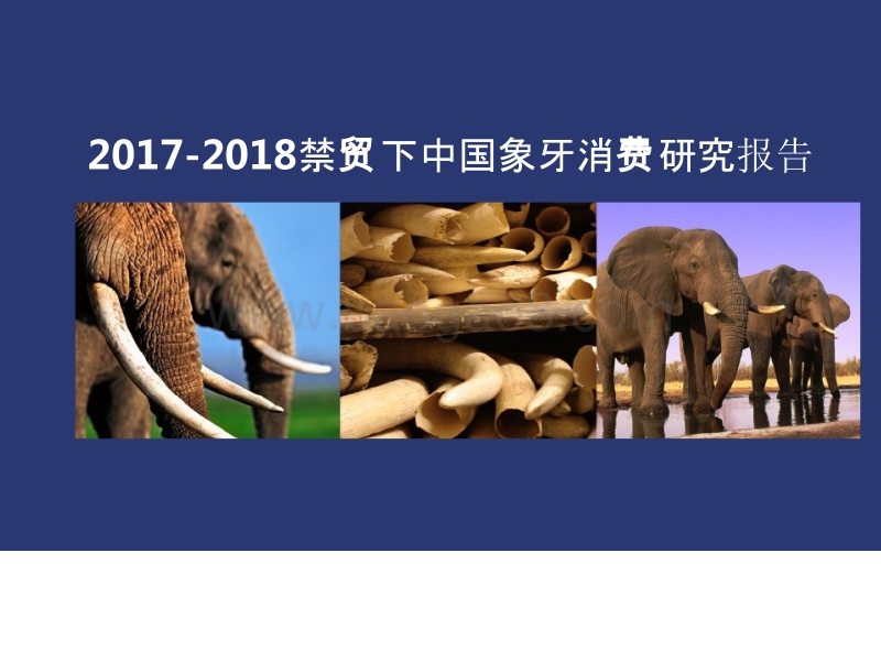 2017-2018禁贸下中国象牙消费研究报告.pptx_第1页
